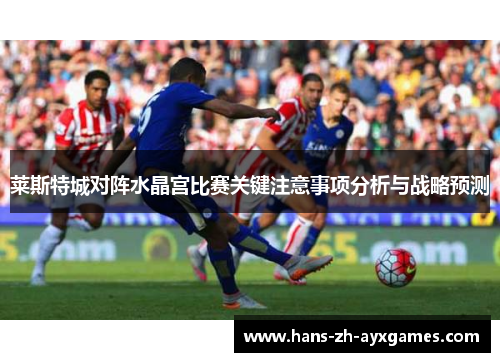 莱斯特城对阵水晶宫比赛关键注意事项分析与战略预测 莱斯特城对阵水晶宫比赛关键注意事项分析与战略预测
