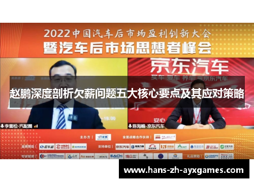 赵鹏深度剖析欠薪问题五大核心要点及其应对策略