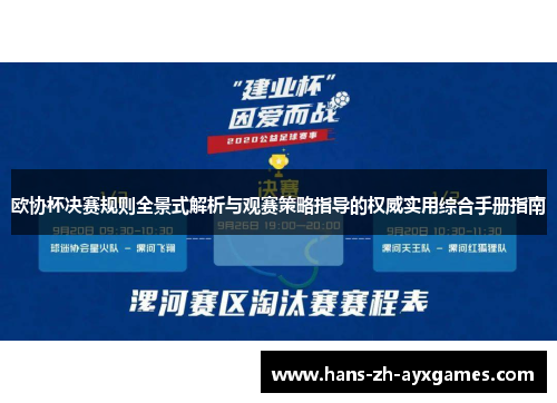 欧协杯决赛规则全景式解析与观赛策略指导的权威实用综合手册指南