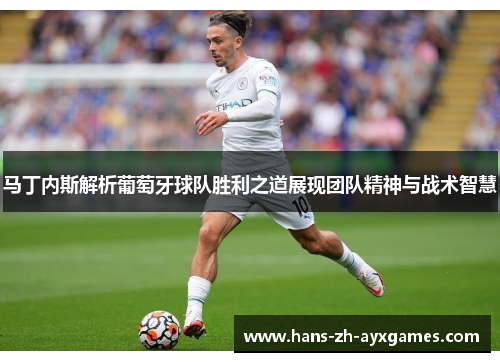 马丁内斯解析葡萄牙球队胜利之道展现团队精神与战术智慧